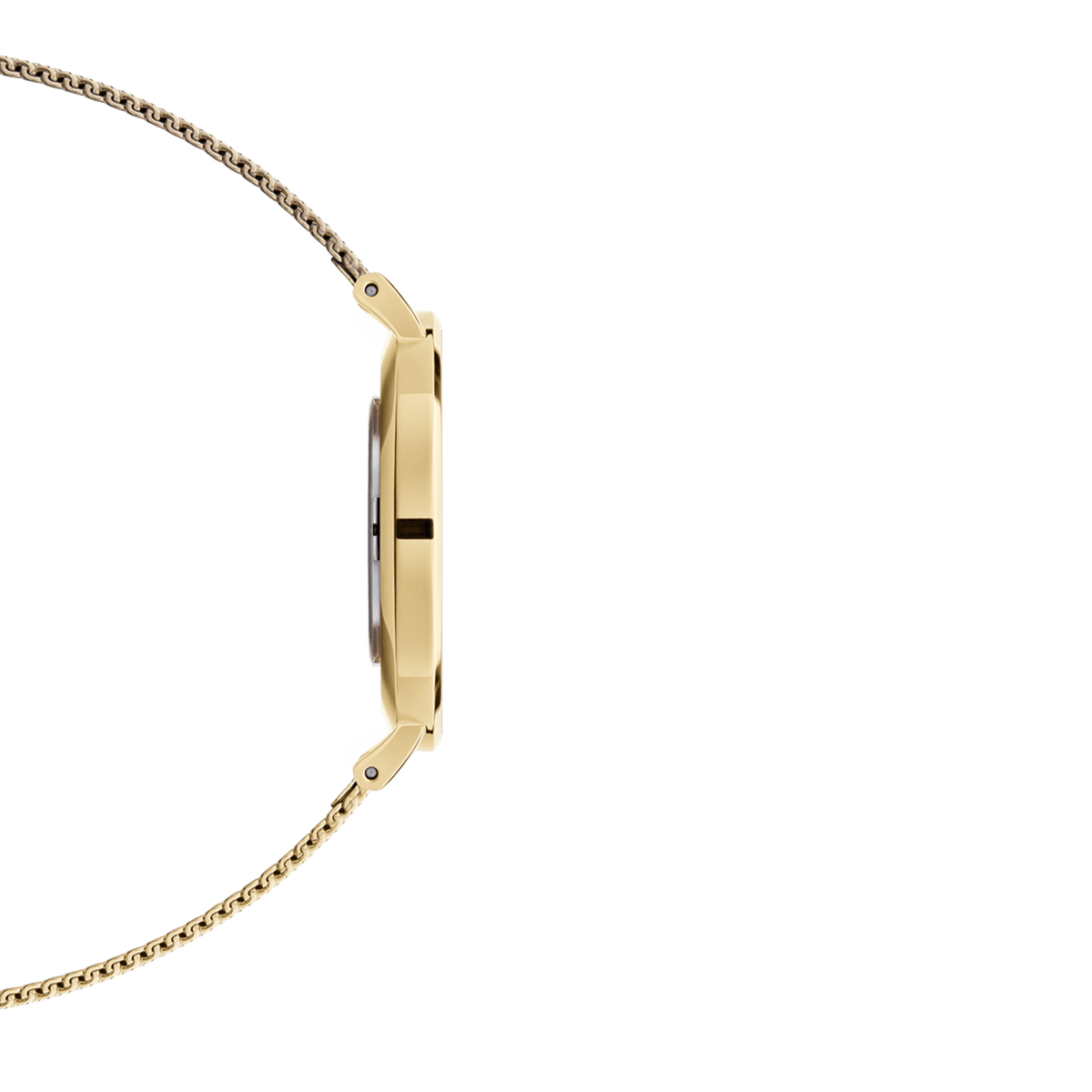 Đồng hồ Petite Evergold -  Vàng